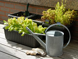 Zahrada na balkóně a pěstování v samozavlažovacích truhlících