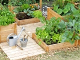 Multifunkční zahrada – mějte vitamíny po celý rok