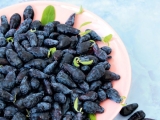Pěstujeme Kamčatskou borůvku – nenáročné a chutné ovoce