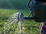 Využití studniční a dešťové vody šetří přírodu i peníze