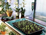 Nezbytné vybavení skleníku pro úspěšné pěstování