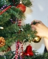 Jak nakupovat vánoční stromek