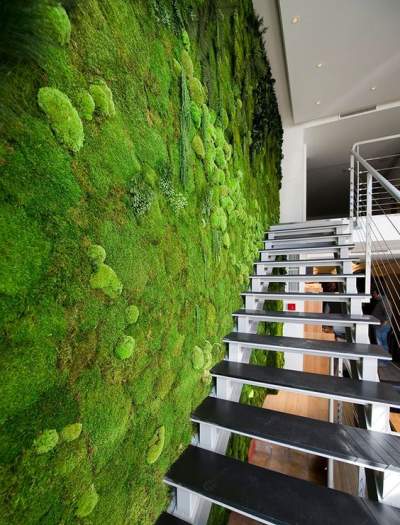 Umělé zelené stěny