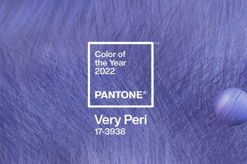 Barva roku 2022